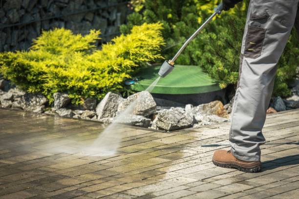 Animal Enclosure Cleaning in Doraville, GA